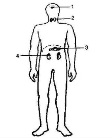 Figure for this question