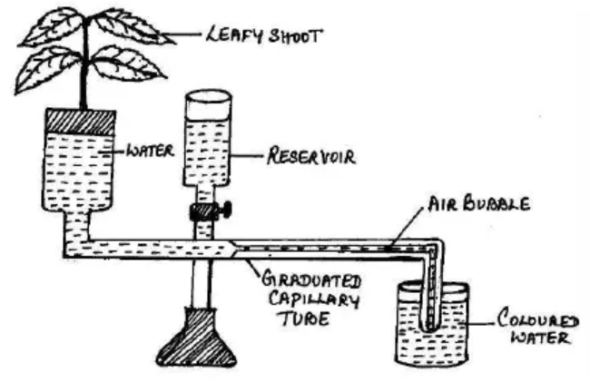 Figure for this question