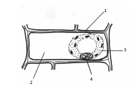 Figure for this question