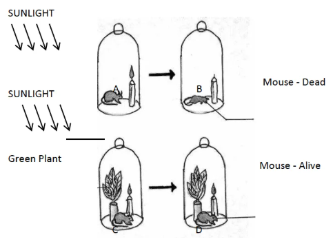 Figure for this question