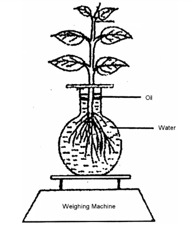 Figure for this question