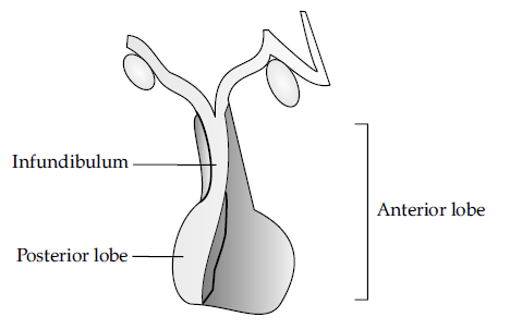 Figure for this question