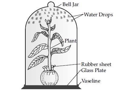 Figure for this question
