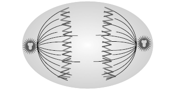Figure for this question