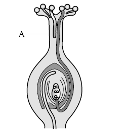 Figure for this question