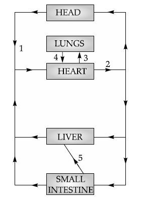 Figure for this question