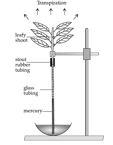 Figure for this question