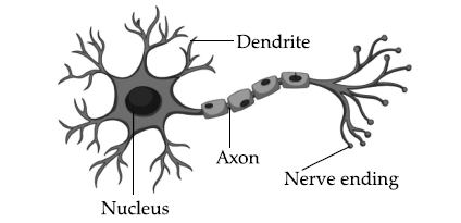 Solution diagram
