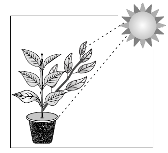 Figure for this question