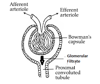 Solution diagram