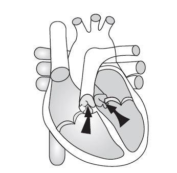 Figure for this question