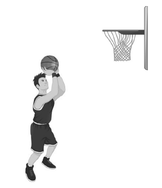 Figure for this question