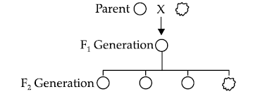 Figure for this question