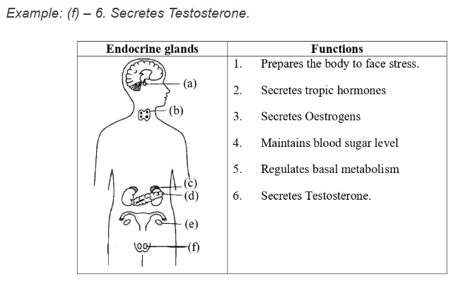 Figure for this question