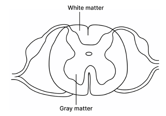 Solution diagram