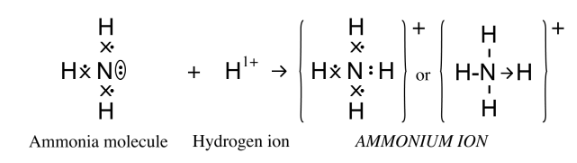 Solution diagram