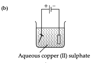Option B