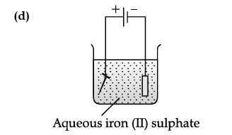 Option D