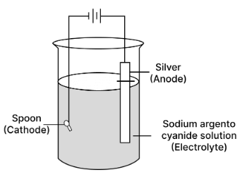 Figure for this question