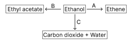 Diagram for question 7(iv)