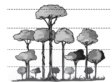 Diagram for question 3(iii)