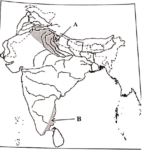 Figure for this question
