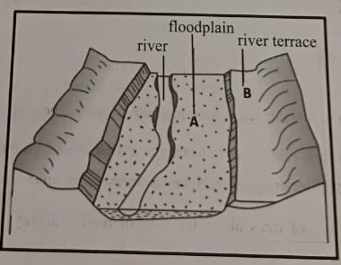Figure for this question