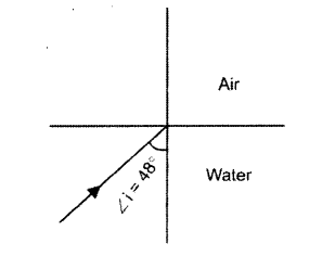 Figure for this question