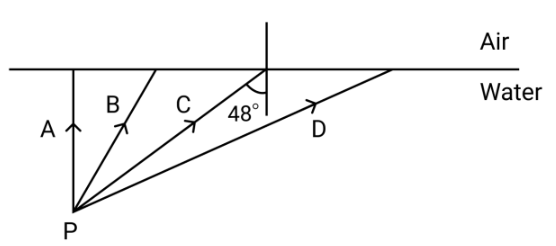 Figure for this question
