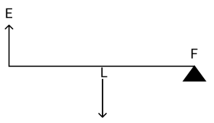 Figure for this question