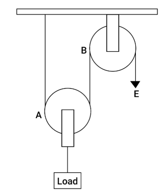 Figure for this question