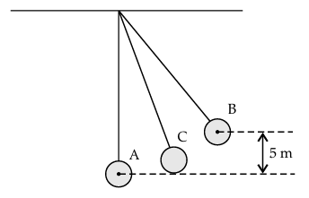 Figure for this question