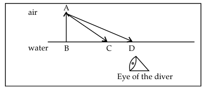 Figure for this question
