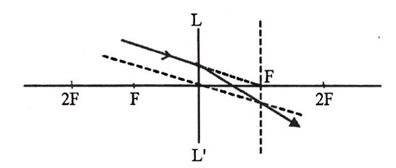 Figure for this question