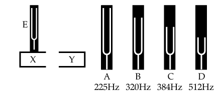 Figure for this question