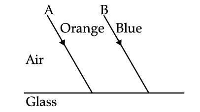 Figure for this question
