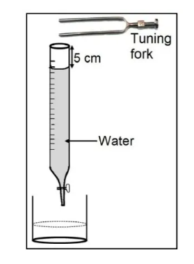 Figure for this question