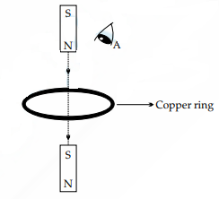 Diagram for question 1(xv)
